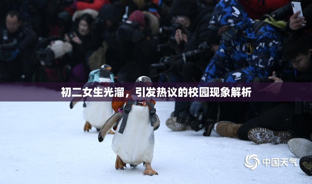 初二女生光溜，引发热议的校园现象解析