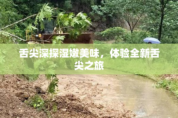 舌尖深探湿嫩美味，体验全新舌尖之旅