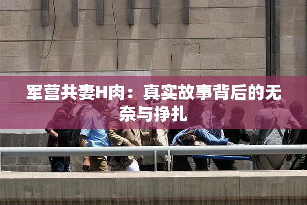 军营共妻H肉：真实故事背后的无奈与挣扎