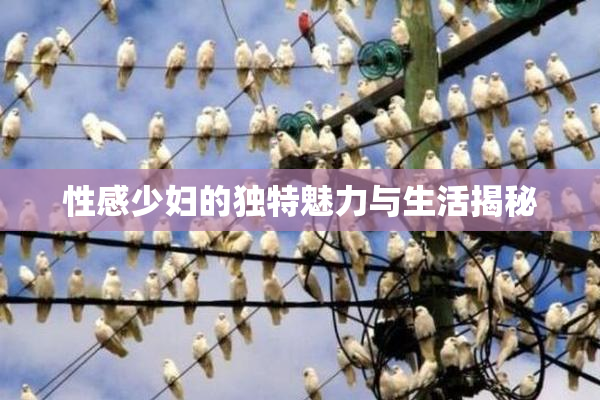 性感少妇的独特魅力与生活揭秘