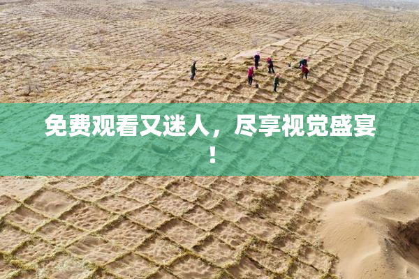 免费观看又迷人，尽享视觉盛宴！
