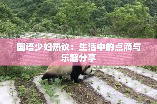 国语少妇热议：生活中的点滴与乐趣分享