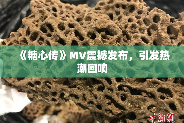 《糖心传》MV震撼发布，引发热潮回响