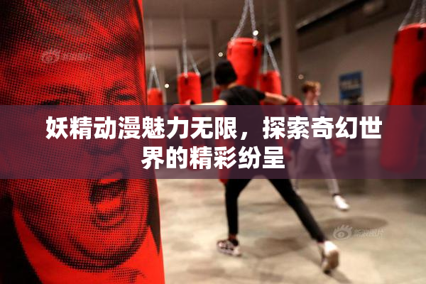 妖精动漫魅力无限，探索奇幻世界的精彩纷呈