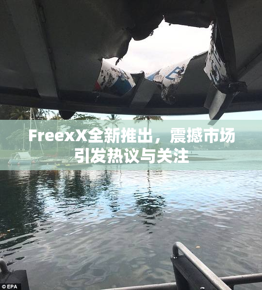 FreexX全新推出，震撼市场引发热议与关注