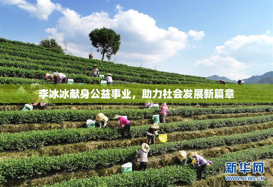 李冰冰献身公益事业，助力社会发展新篇章