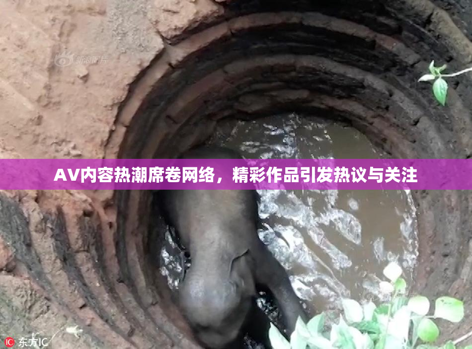 AV内容热潮席卷网络，精彩作品引发热议与关注