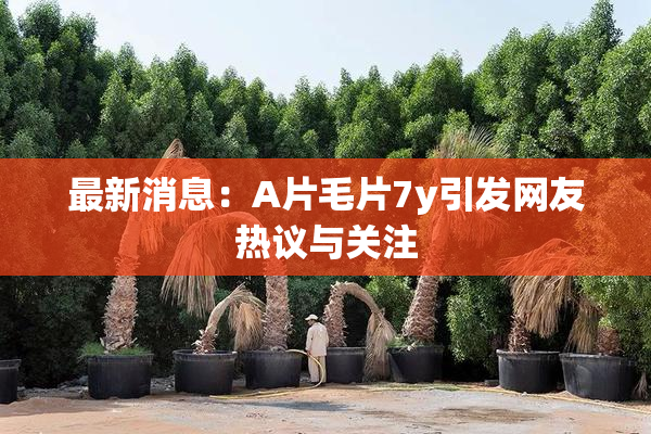 最新消息：A片毛片7y引发网友热议与关注