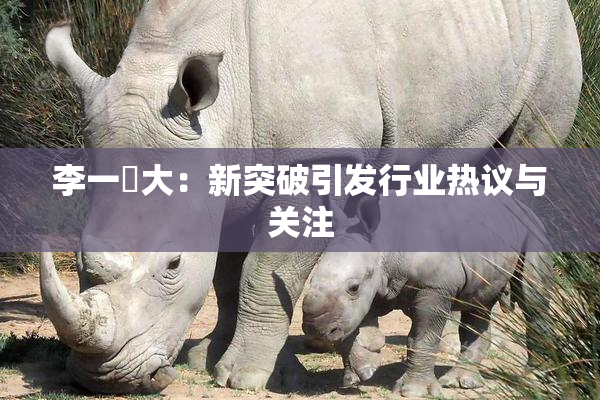李一挏大：新突破引发行业热议与关注