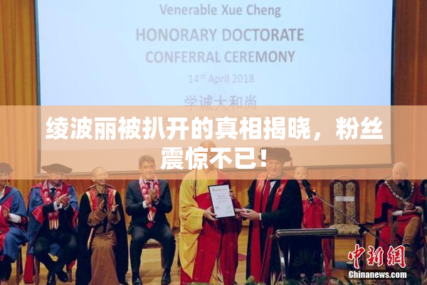 绫波丽被扒开的真相揭晓，粉丝震惊不已！