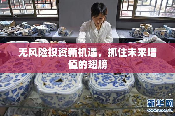 无风险投资新机遇，抓住未来增值的翅膀