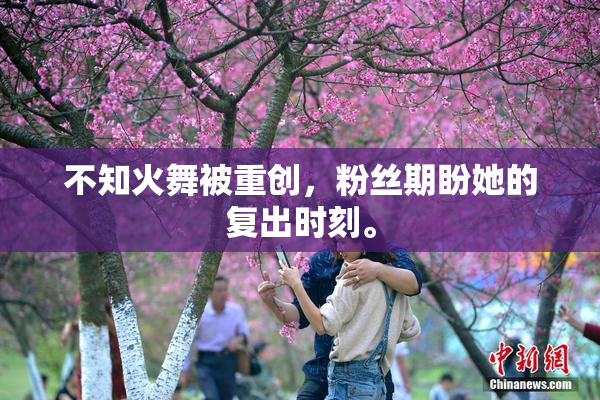 不知火舞被重创，粉丝期盼她的复出时刻。