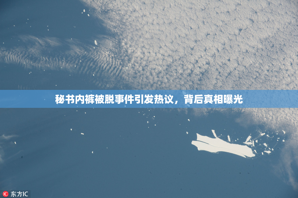秘书内裤被脱事件引发热议，背后真相曝光