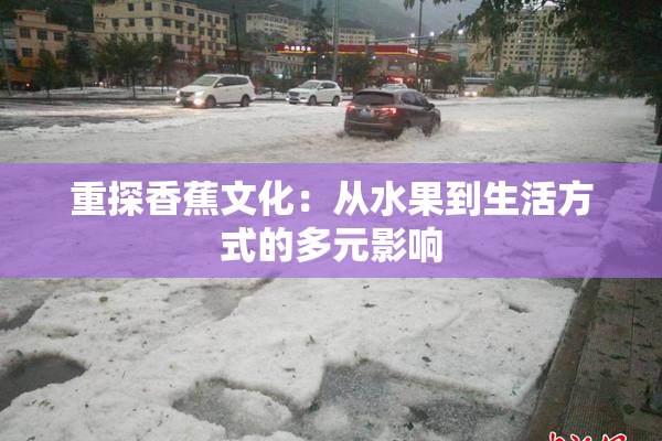 重探香蕉文化：从水果到生活方式的多元影响
