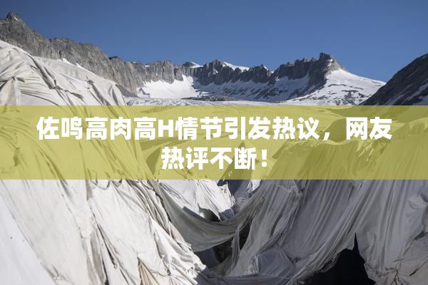 佐鸣高肉高H情节引发热议，网友热评不断！