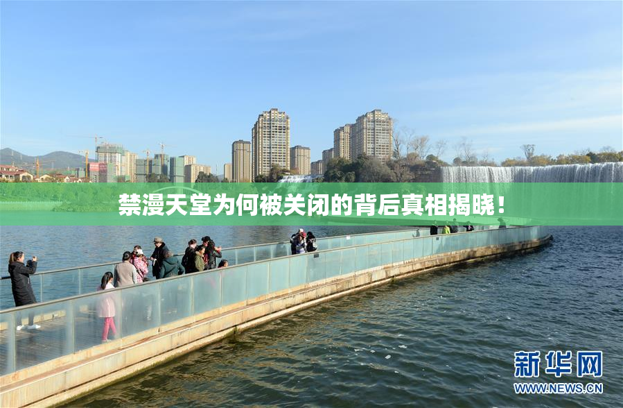 禁漫天堂为何被关闭的背后真相揭晓！