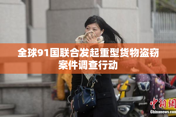 全球91国联合发起重型货物盗窃案件调查行动