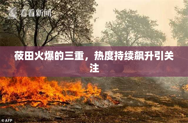 莜田火爆的三重，热度持续飙升引关注