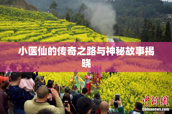 小医仙的传奇之路与神秘故事揭晓