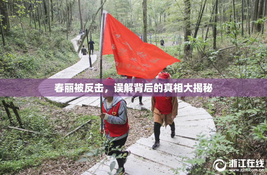 春丽被反击，误解背后的真相大揭秘