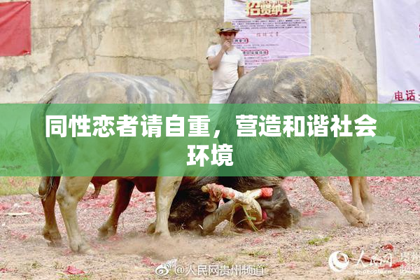 同性恋者请自重，营造和谐社会环境