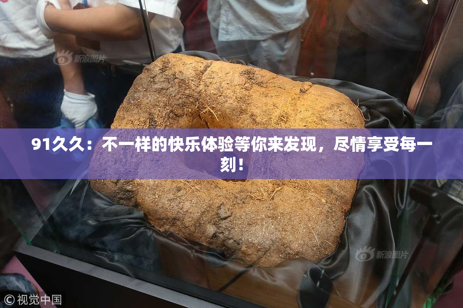 91久久：不一样的快乐体验等你来发现，尽情享受每一刻！
