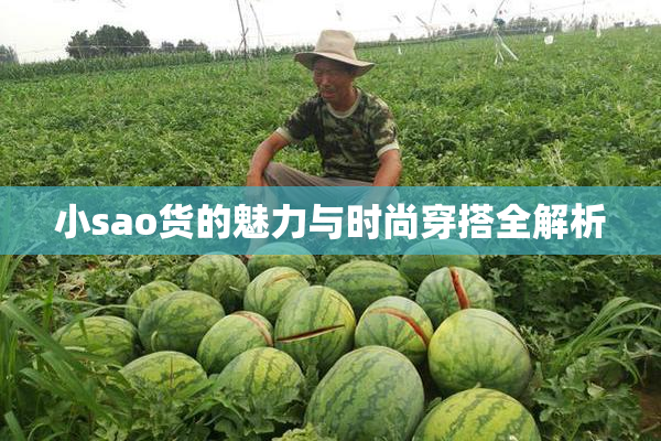 小sao货的魅力与时尚穿搭全解析
