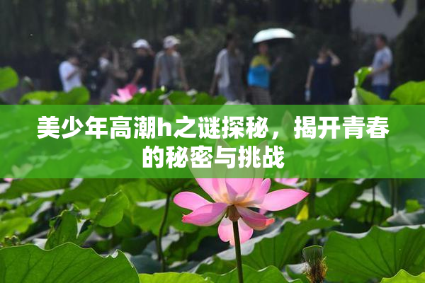 美少年高潮h之谜探秘，揭开青春的秘密与挑战