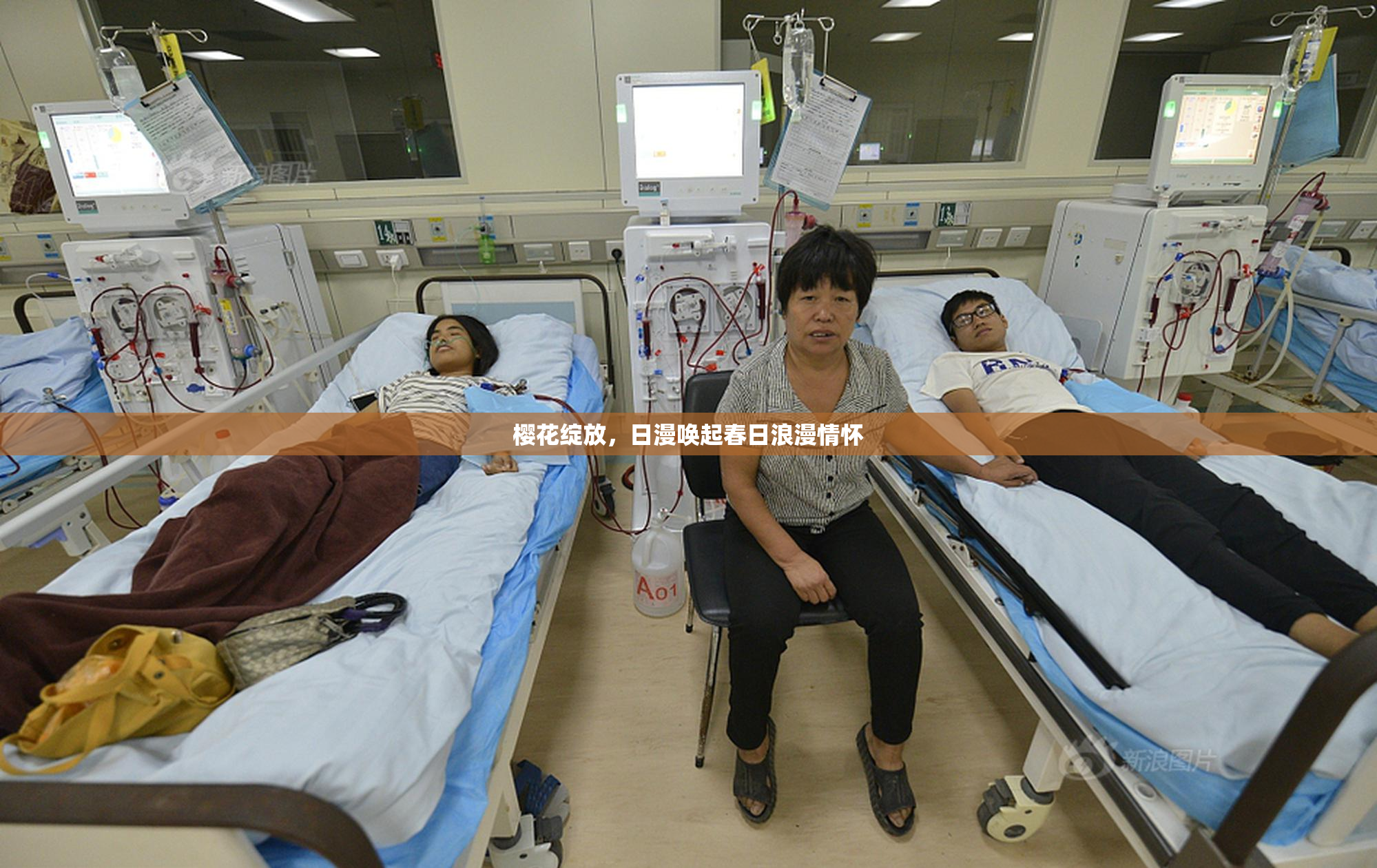 樱花绽放，日漫唤起春日浪漫情怀