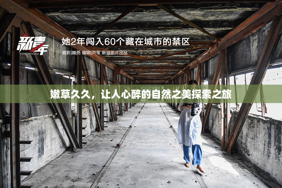 嫩草久久，让人心醉的自然之美探索之旅