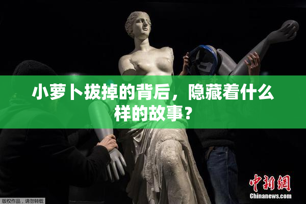 小萝卜拔掉的背后，隐藏着什么样的故事？