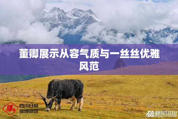 董卿展示从容气质与一丝丝优雅风范