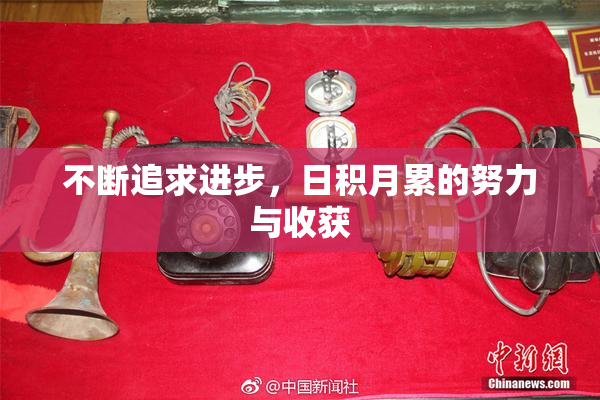 不断追求进步，日积月累的努力与收获