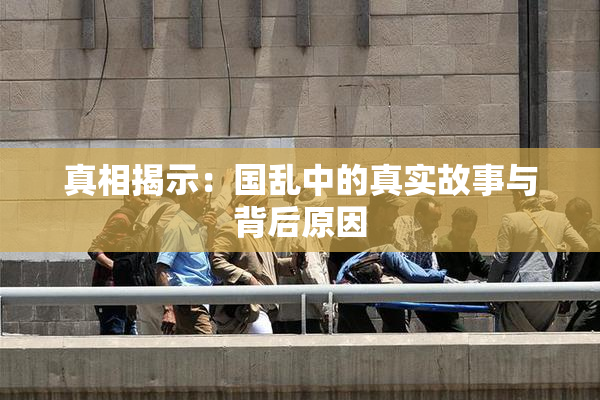 真相揭示：国乱中的真实故事与背后原因