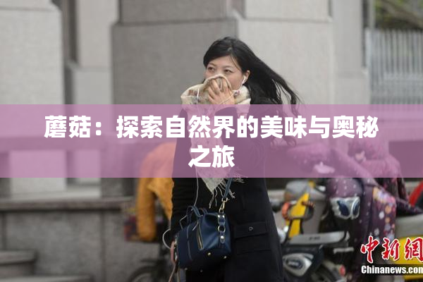 蘑菇：探索自然界的美味与奥秘之旅