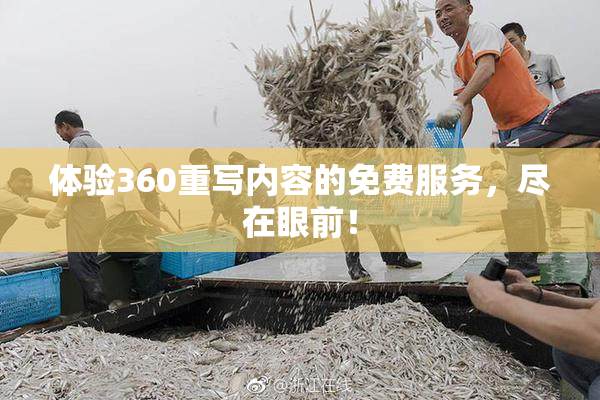 体验360重写内容的免费服务，尽在眼前！