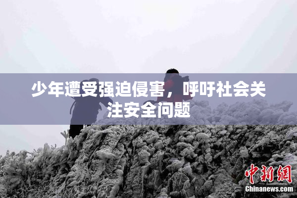少年遭受强迫侵害，呼吁社会关注安全问题