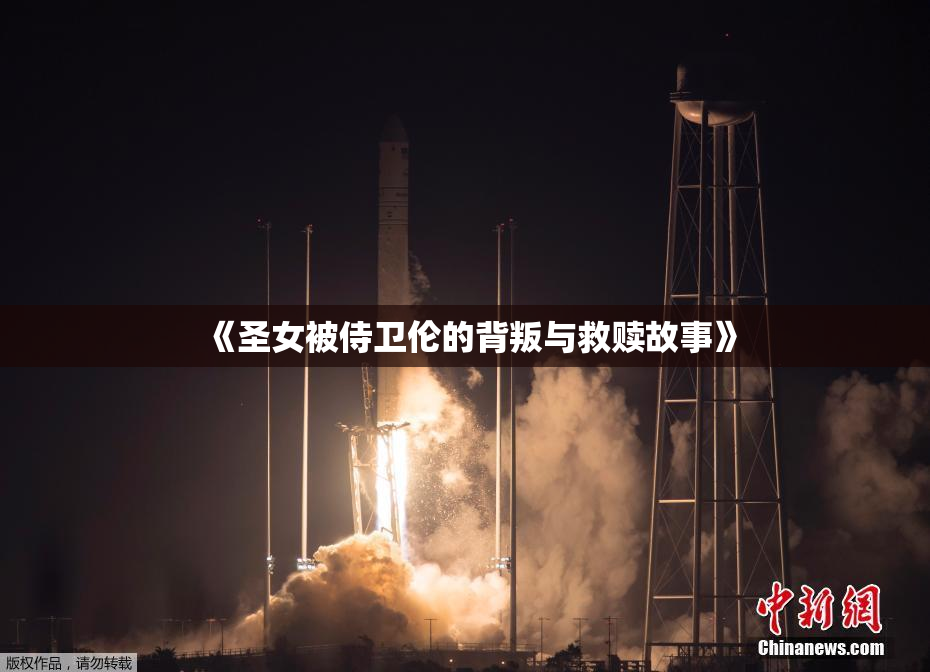 《圣女被侍卫伦的背叛与救赎故事》
