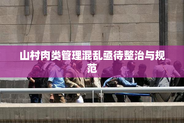 山村肉类管理混乱亟待整治与规范