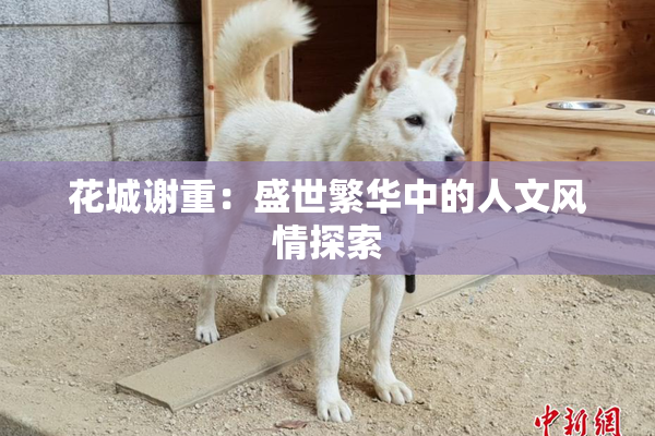 花城谢重：盛世繁华中的人文风情探索