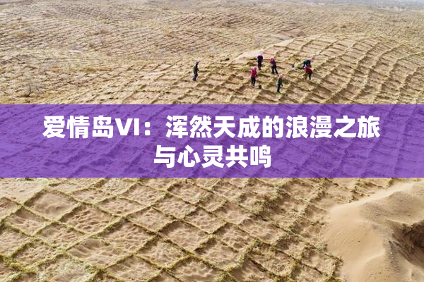 爱情岛VI：浑然天成的浪漫之旅与心灵共鸣