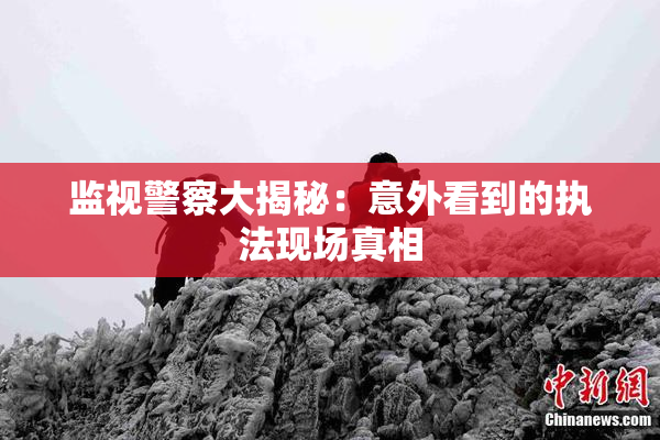 监视警察大揭秘：意外看到的执法现场真相