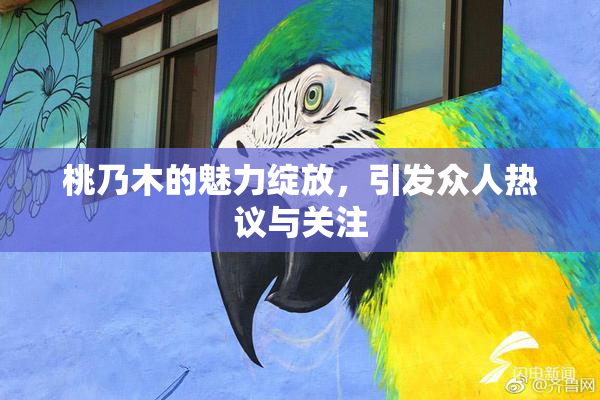 桃乃木的魅力绽放，引发众人热议与关注