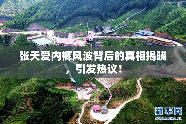 张天爱内裤风波背后的真相揭晓，引发热议！