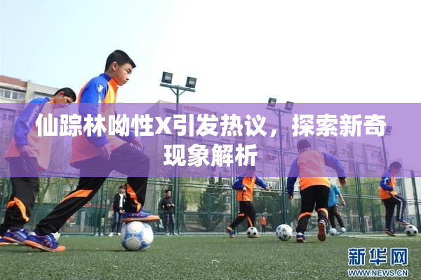 仙踪林呦性X引发热议，探索新奇现象解析