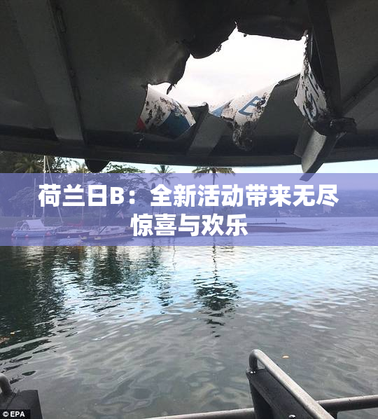 荷兰日B：全新活动带来无尽惊喜与欢乐