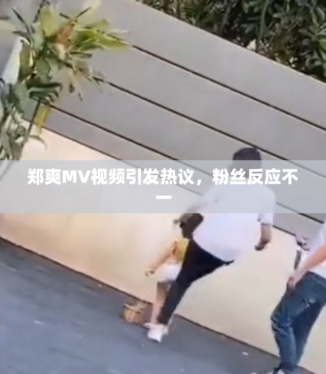 郑爽MV视频引发热议，粉丝反应不一