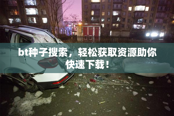 bt种子搜索，轻松获取资源助你快速下载！