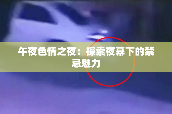 午夜色情之夜：探索夜幕下的禁忌魅力
