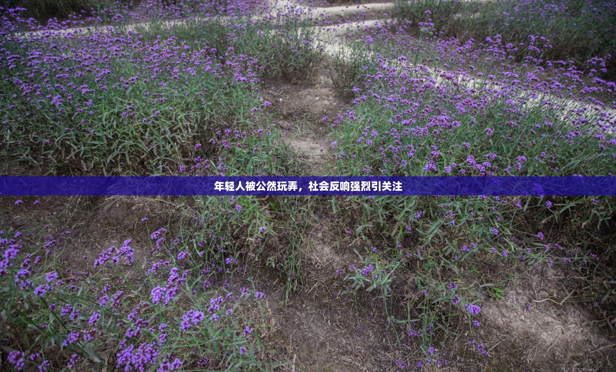 年轻人被公然玩弄，社会反响强烈引关注